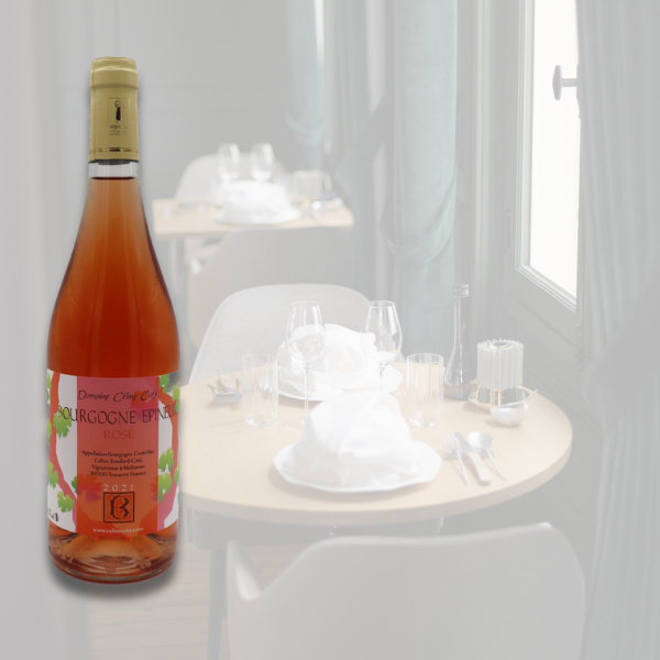 Le Jardin : Rosé Bourgogne Domaine Bio Céline Côté 2021